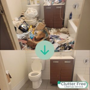 Cleanup and Hoarder Cleaning Before and After 